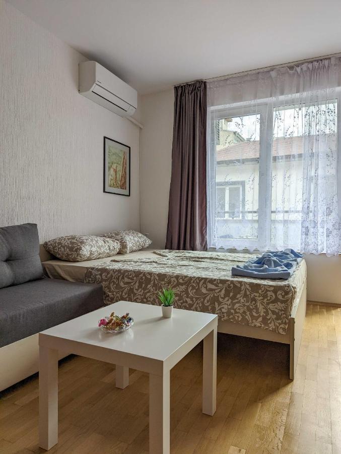 Center Relax, Ndk & Vitoshka Str, Free Secured Parking Apartment